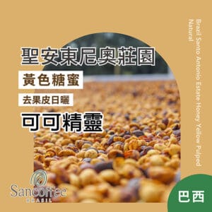 巴西 聖安東尼奧莊園 可可精靈【日曬處理】