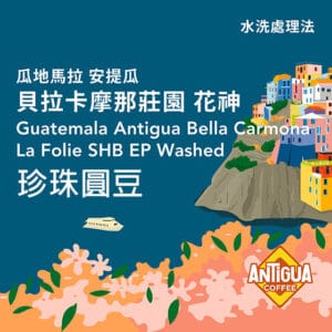 瓜地馬拉 安地瓜產區 貝拉卡摩那莊園 花神 珍珠圓豆【水洗處理】