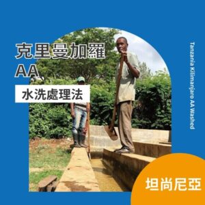坦尚尼亞 克里曼加羅 AA 【水洗處理】